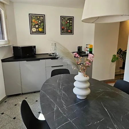 Apartmán City-apartment In Altbauvilla *